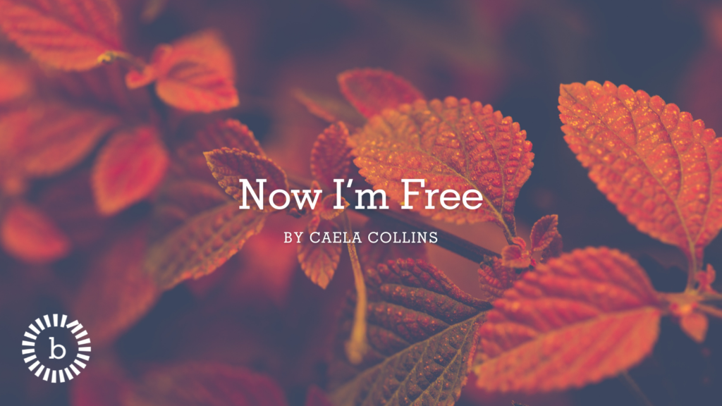 Now I’m Free by Caela Collins