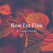 Now I’m Free by Caela Collins